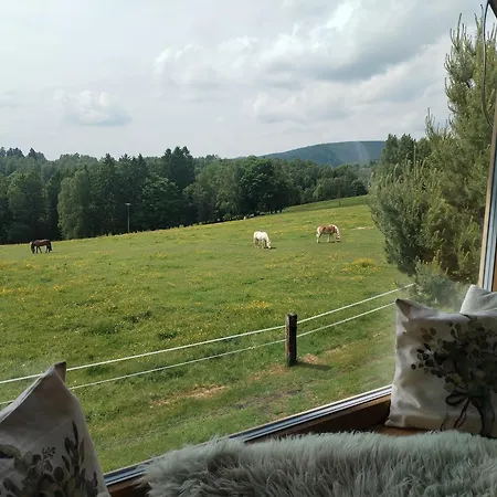 Lejlighed Apartman Schwaderbach *