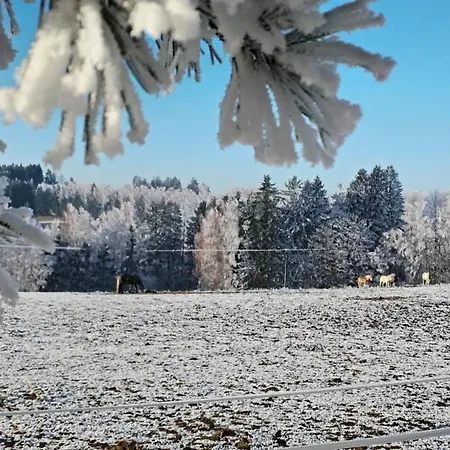 Apartman Schwaderbach Apartman