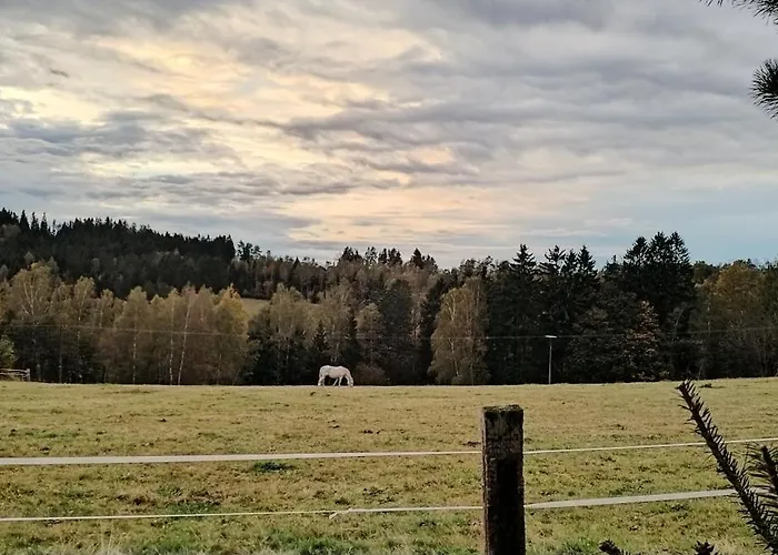 Apartman Schwaderbach *